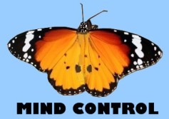 Image result for monarch butterfly mind control