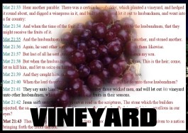 Parable of the Vineyard and Two Nations